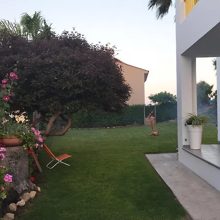 The Garden *