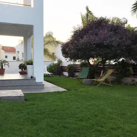 The Garden *
