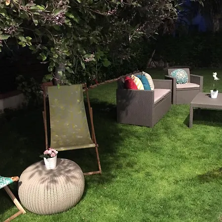 The Garden *
