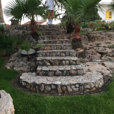 The Garden *